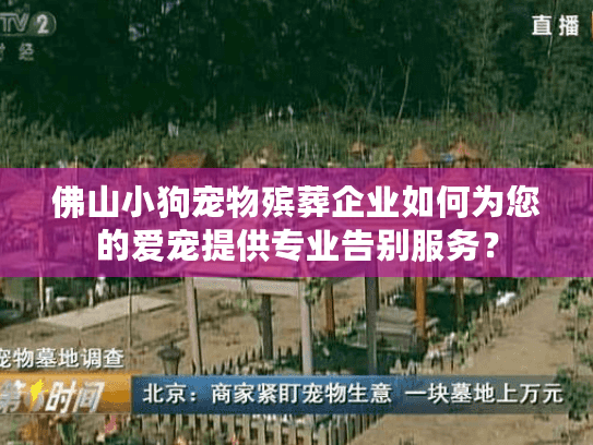 佛山小狗宠物殡葬企业如何为您的爱宠提供专业告别服务？