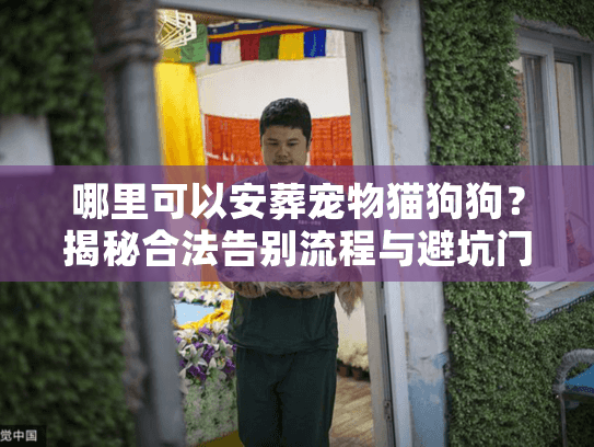 哪里可以安葬宠物猫狗狗？揭秘合法告别流程与避坑门道