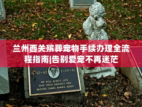 兰州西关殡葬宠物手续办理全流程指南|告别爱宠不再迷茫