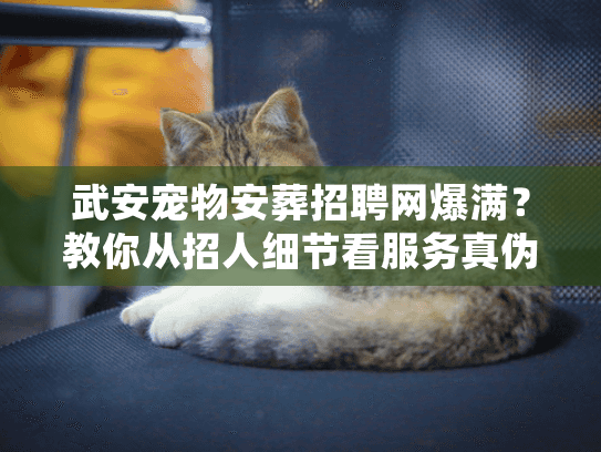 武安宠物安葬招聘网爆满？教你从招人细节看服务真伪！