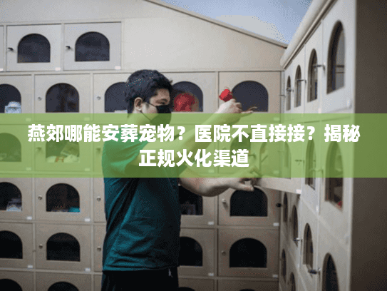 燕郊哪能安葬宠物？医院不直接接？揭秘正规火化渠道