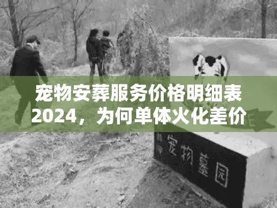 宠物安葬服务价格明细表2024，为何单体火化差价高达千元？