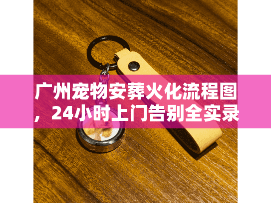 广州宠物安葬火化流程图，24小时上门告别全实录