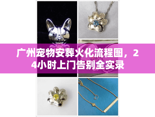 广州宠物安葬火化流程图，24小时上门告别全实录