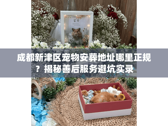 成都新津区宠物安葬地址哪里正规？揭秘善后服务避坑实录
