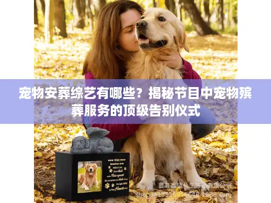 宠物安葬综艺有哪些？揭秘节目中宠物殡葬服务的顶级告别仪式