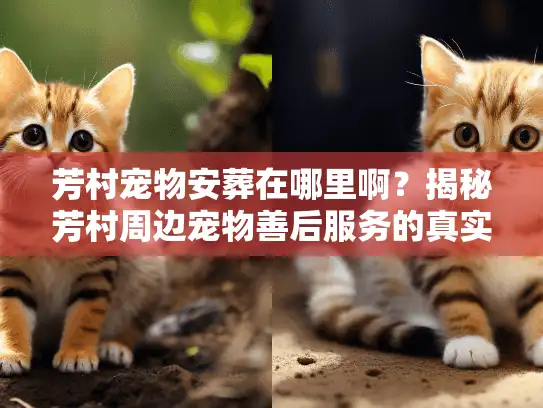 芳村宠物安葬在哪里啊？揭秘芳村周边宠物善后服务的真实去处