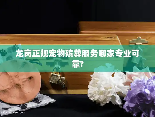 龙岗正规宠物殡葬服务哪家专业可靠?