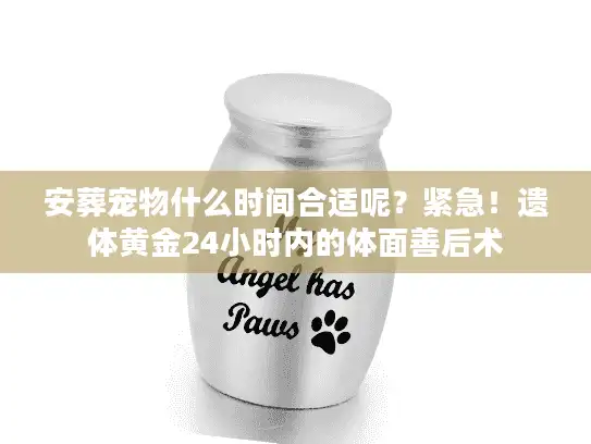 安葬宠物什么时间合适呢?紧急!遗体黄金24小时内的体面善后术 安葬宠物什么时间合适呢?紧急!遗体黄金24小时内的体面善后术