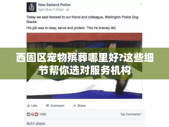 西固区宠物殡葬哪里好?这些细节帮你选对服务机构