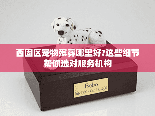 西固区宠物殡葬哪里好?这些细节帮你选对服务机构