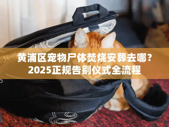 黄浦区宠物尸体焚烧安葬去哪？2025正规告别仪式全流程