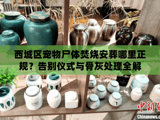 西城区宠物尸体焚烧安葬哪里正规?告别仪式与骨灰处理全解 西城区宠物尸体焚烧安葬哪里正规?告别仪式与骨灰处理全解