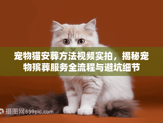 宠物猫安葬方法视频实拍,揭秘宠物殡葬服务全流程与避坑细节 宠物猫安葬方法视频实拍,揭秘宠物殡葬服务全流程与避坑细节