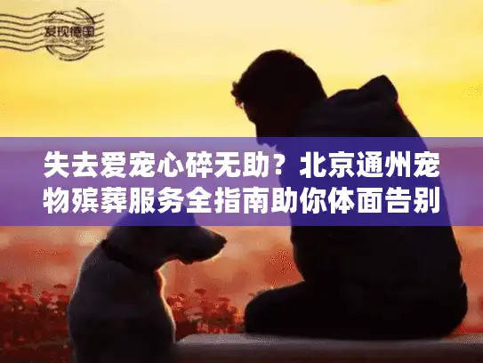 失去爱宠心碎无助？北京通州宠物殡葬服务全指南助你体面告别
