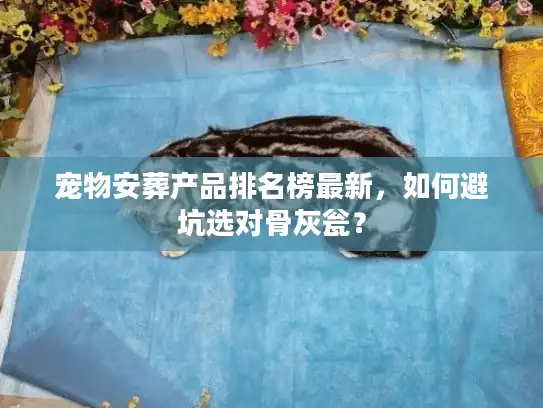 宠物安葬产品排名榜最新，如何避坑选对骨灰瓮？