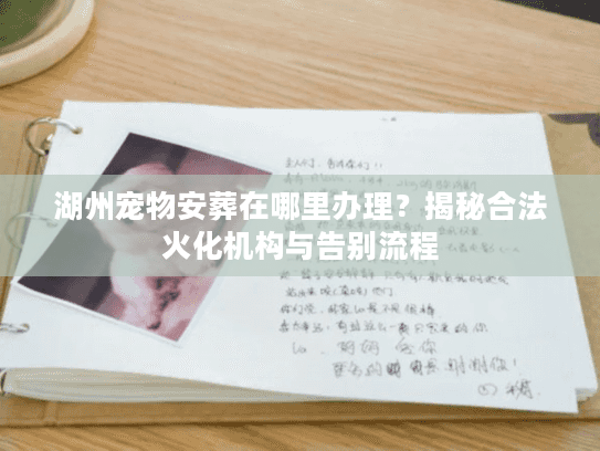 湖州宠物安葬在哪里办理？揭秘合法火化机构与告别流程
