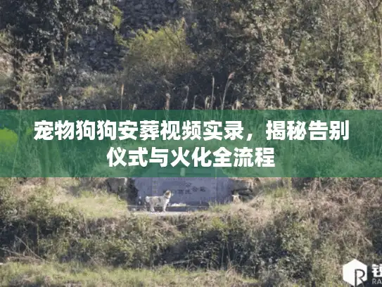 宠物狗狗安葬视频实录,揭秘告别仪式与火化全流程 宠物狗狗安葬视频实录,揭秘告别仪式与火化全流程