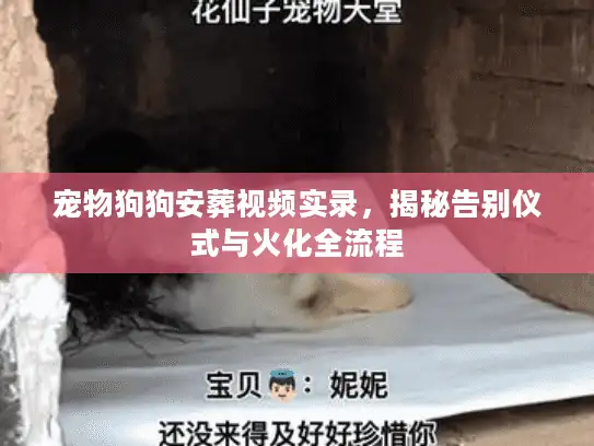 宠物狗狗安葬视频实录,揭秘告别仪式与火化全流程 宠物狗狗安葬视频实录,揭秘告别仪式与火化全流程