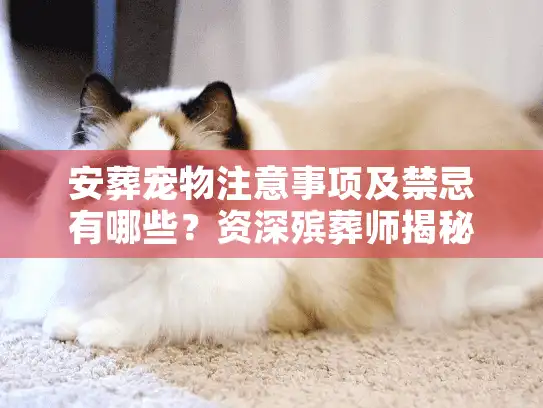 安葬宠物注意事项及禁忌有哪些?资深殡葬师揭秘3大雷区 安葬宠物注意事项及禁忌有哪些?资深殡葬师揭秘3大雷区