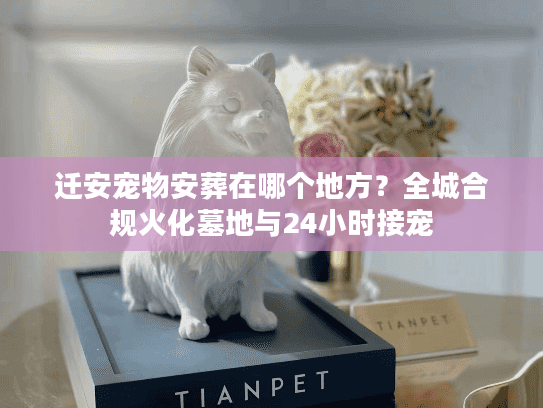 迁安宠物安葬在哪个地方?全城合规火化墓地与24小时接宠 迁安宠物安葬在哪个地方?全城合规火化墓地与24小时接宠