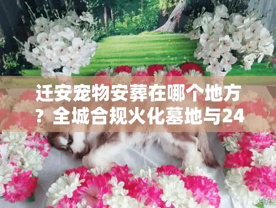 迁安宠物安葬在哪个地方?全城合规火化墓地与24小时接宠 迁安宠物安葬在哪个地方?全城合规火化墓地与24小时接宠