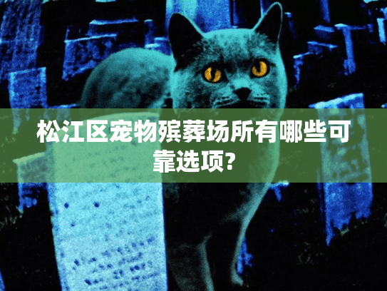 松江区宠物殡葬场所有哪些可靠选项?