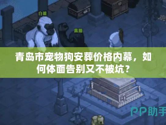 青岛市宠物狗安葬价格内幕,如何体面告别又不被坑? 青岛市宠物狗安葬价格内幕,如何体面告别又不被坑?