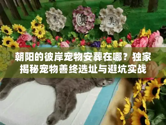 朝阳的彼岸宠物安葬在哪?独家揭秘宠物善终选址与避坑实战 朝阳的彼岸宠物安葬在哪?独家揭秘宠物善终选址与避坑实战