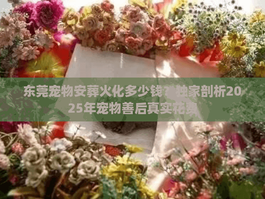 东莞宠物安葬火化多少钱？独家剖析2025年宠物善后真实花费