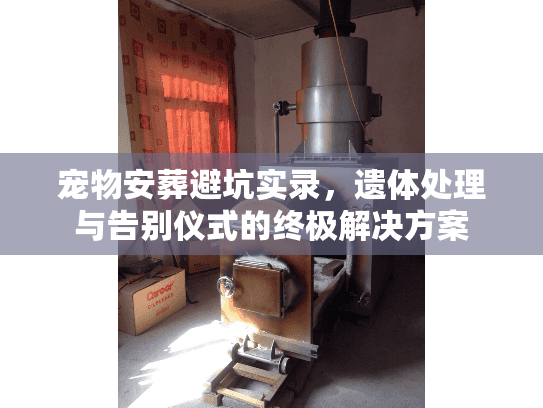 宠物安葬避坑实录，遗体处理与告别仪式的终极解决方案