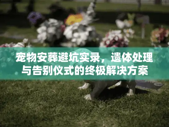 宠物安葬避坑实录，遗体处理与告别仪式的终极解决方案