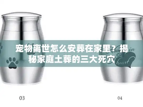 宠物离世怎么安葬在家里？揭秘家庭土葬的三大死穴