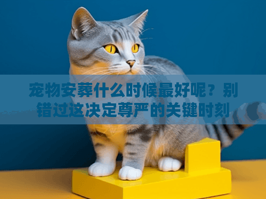 宠物安葬什么时候最好呢？别错过这决定尊严的关键时刻