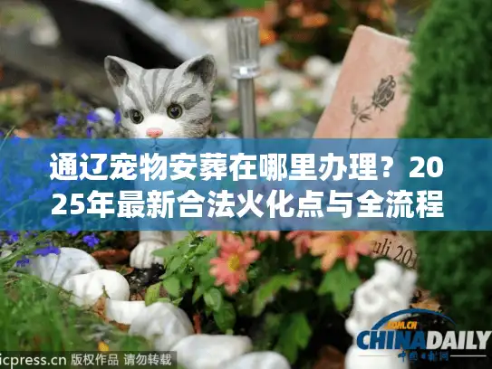 通辽宠物安葬在哪里办理？2025年最新合法火化点与全流程避坑实况