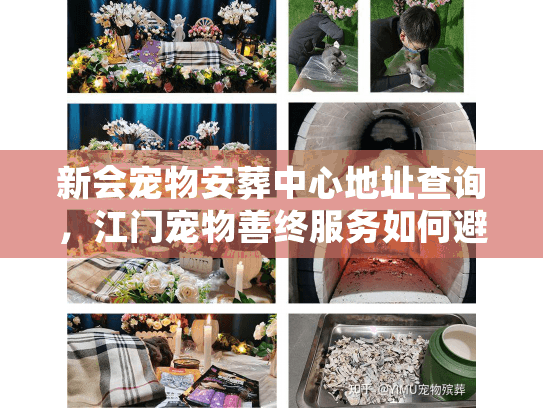 新会宠物安葬中心地址查询,江门宠物善终服务如何避坑与选址 新会宠物安葬中心地址查询,江门宠物善终服务如何避坑与选址