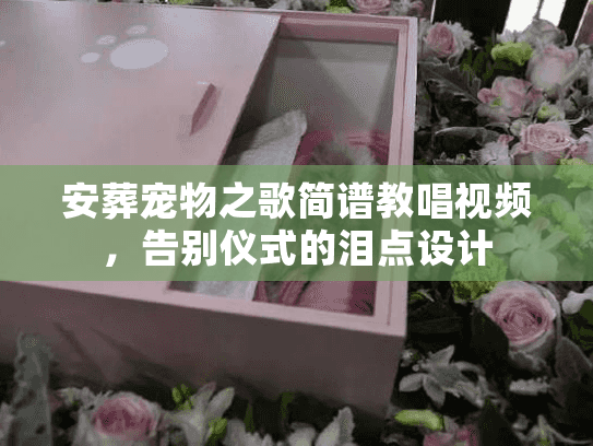 安葬宠物之歌简谱教唱视频，告别仪式的泪点设计