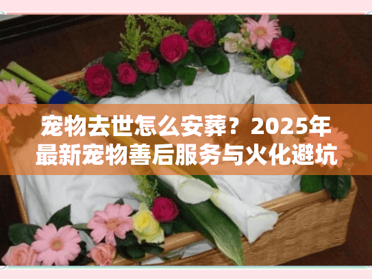 宠物去世怎么安葬?2025年最新宠物善后服务与火化避坑全解析 宠物去世怎么安葬?2025年最新宠物善后服务与火化避坑全解析