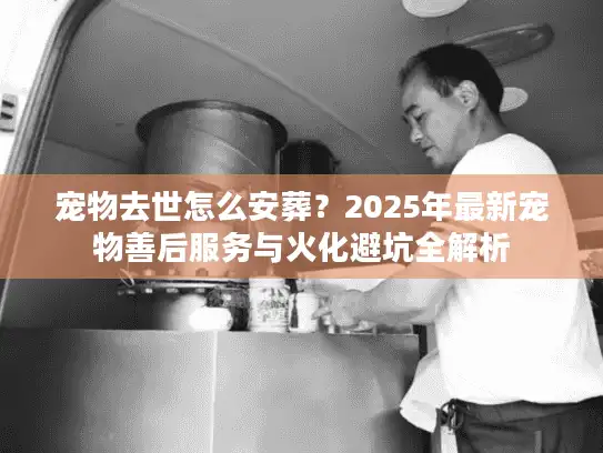 宠物去世怎么安葬?2025年最新宠物善后服务与火化避坑全解析 宠物去世怎么安葬?2025年最新宠物善后服务与火化避坑全解析