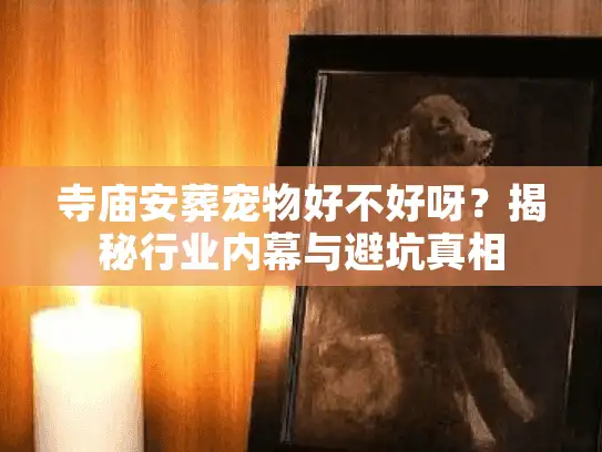 寺庙安葬宠物好不好呀？揭秘行业内幕与避坑真相