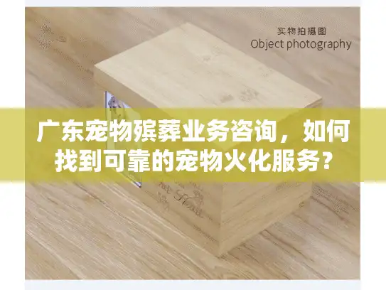 广东宠物殡葬业务咨询，如何找到可靠的宠物火化服务？