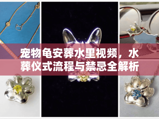 宠物龟安葬水里视频，水葬仪式流程与禁忌全解析