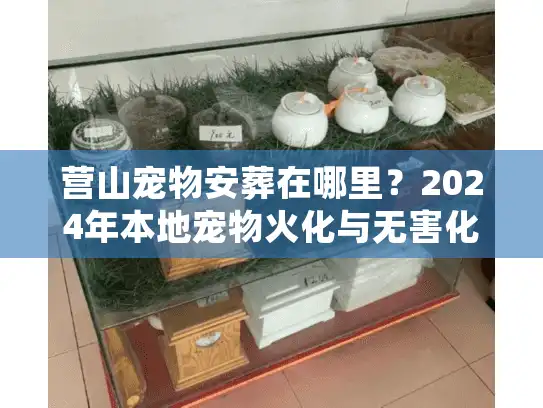 营山宠物安葬在哪里?2024年本地宠物火化与无害化处理全揭秘 营山宠物安葬在哪里?2024年本地宠物火化与无害化处理全揭秘