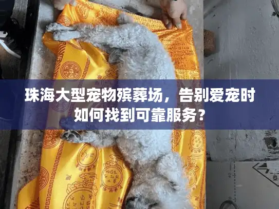 珠海大型宠物殡葬场,告别爱宠时如何找到可靠服务? 珠海大型宠物殡葬场,告别爱宠时如何找到可靠服务?