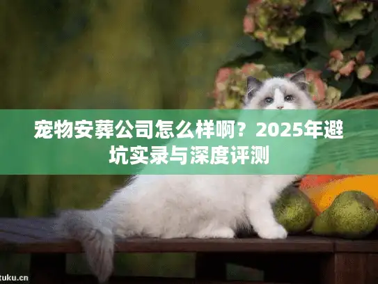 宠物安葬公司怎么样啊？2025年避坑实录与深度评测