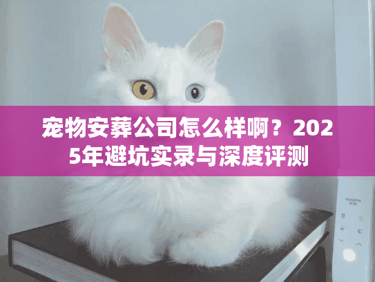 宠物安葬公司怎么样啊？2025年避坑实录与深度评测