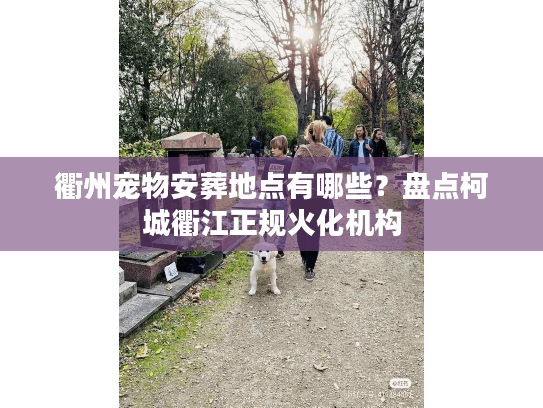 衢州宠物安葬地点有哪些？盘点柯城衢江正规火化机构