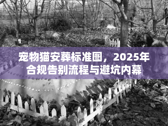 宠物猫安葬标准图,2025年合规告别流程与避坑内幕 宠物猫安葬标准图,2025年合规告别流程与避坑内幕