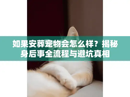 如果安葬宠物会怎么样？揭秘身后事全流程与避坑真相