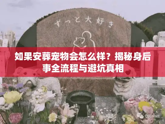如果安葬宠物会怎么样？揭秘身后事全流程与避坑真相
